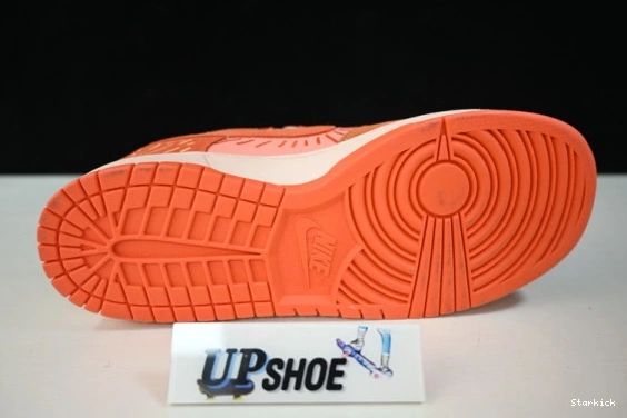 Low Winter Dunk DO6723-800 (W) Solstice NH Nike 0806